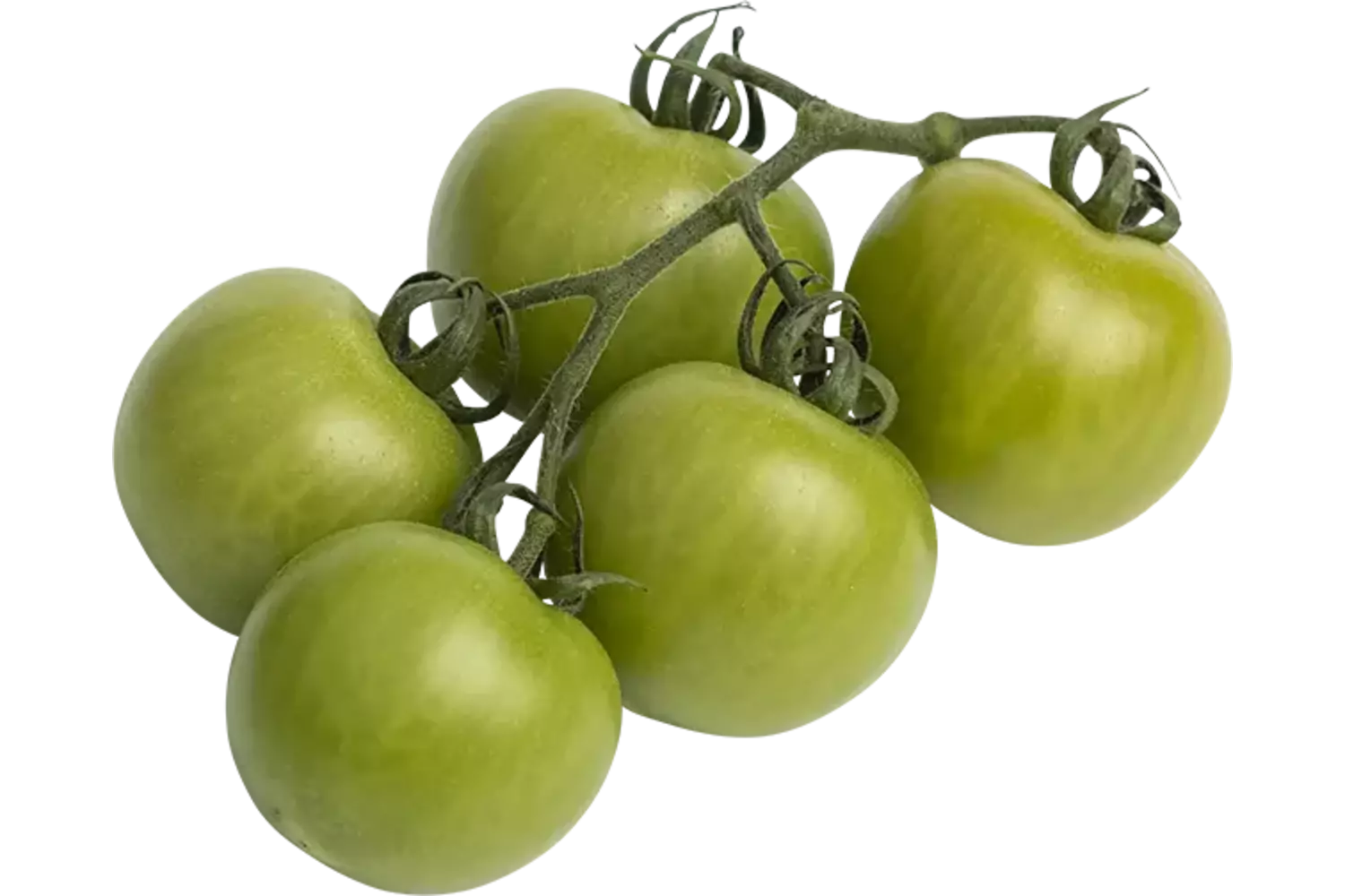Trostomaten groen kist 5 kilogram