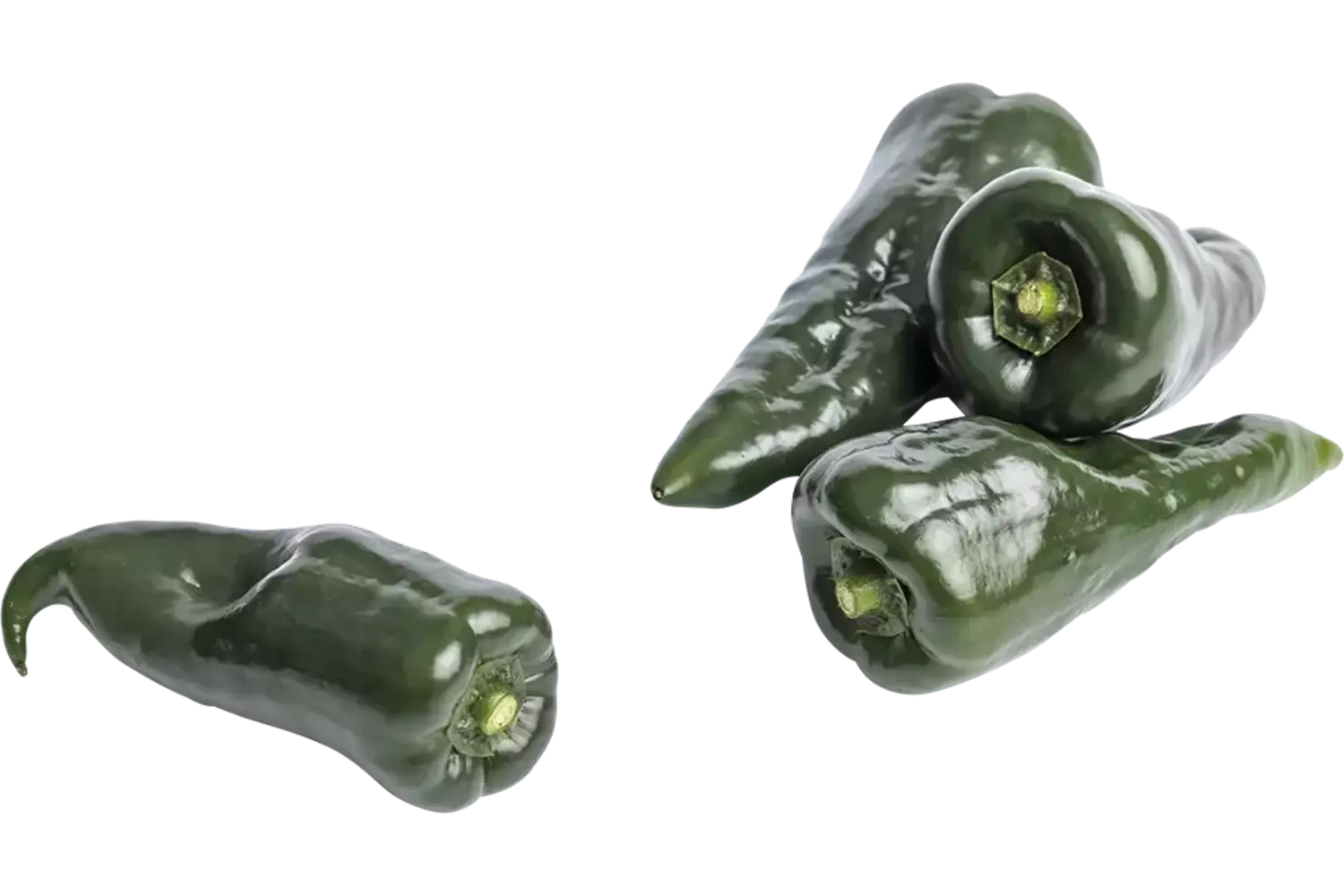 Poblano Peper kist 2 kilogram
