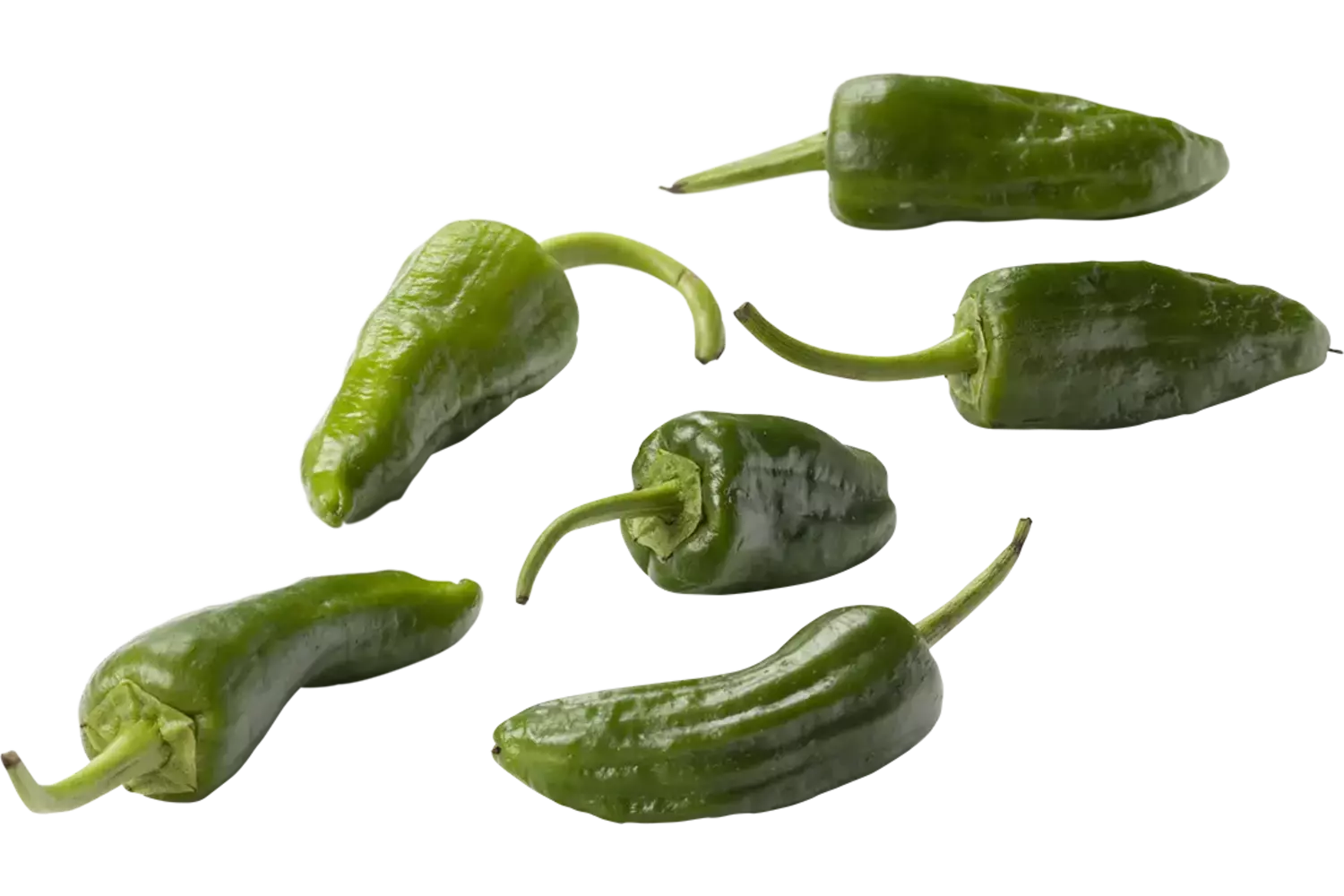 Pimiento de padron pepers verpakt 250gr