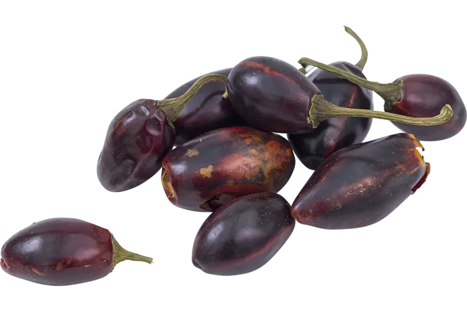 Cascabel peper gedroogd 100gr stuk