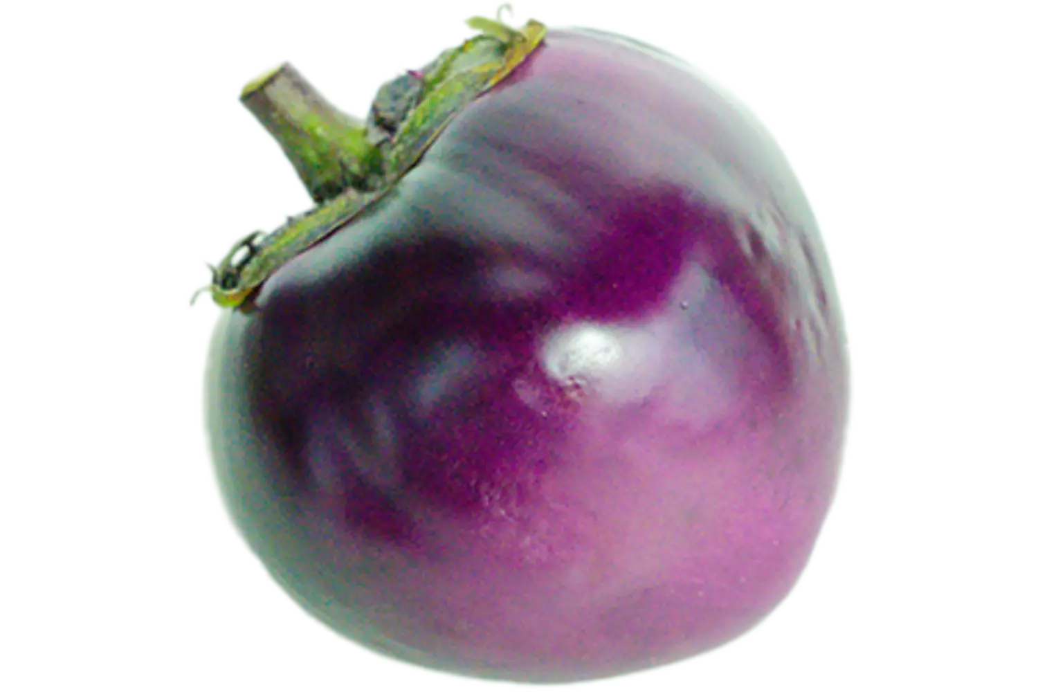 Aubergine palada (purpera)