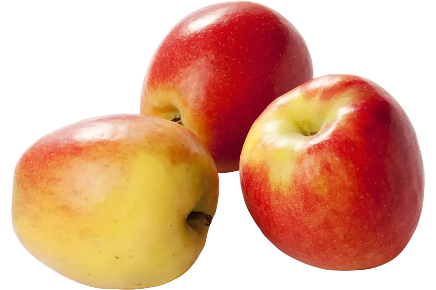 Jazz appels verpakt 6st kist 8 stuks