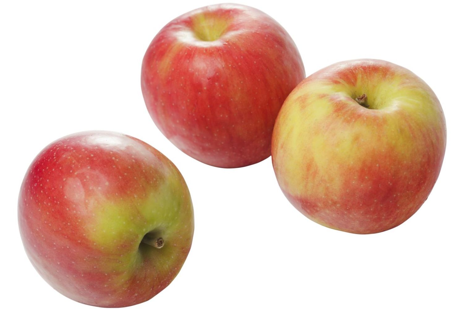 Appels klein 65-70 verpakt 1,5kg kist 8 stuks 1