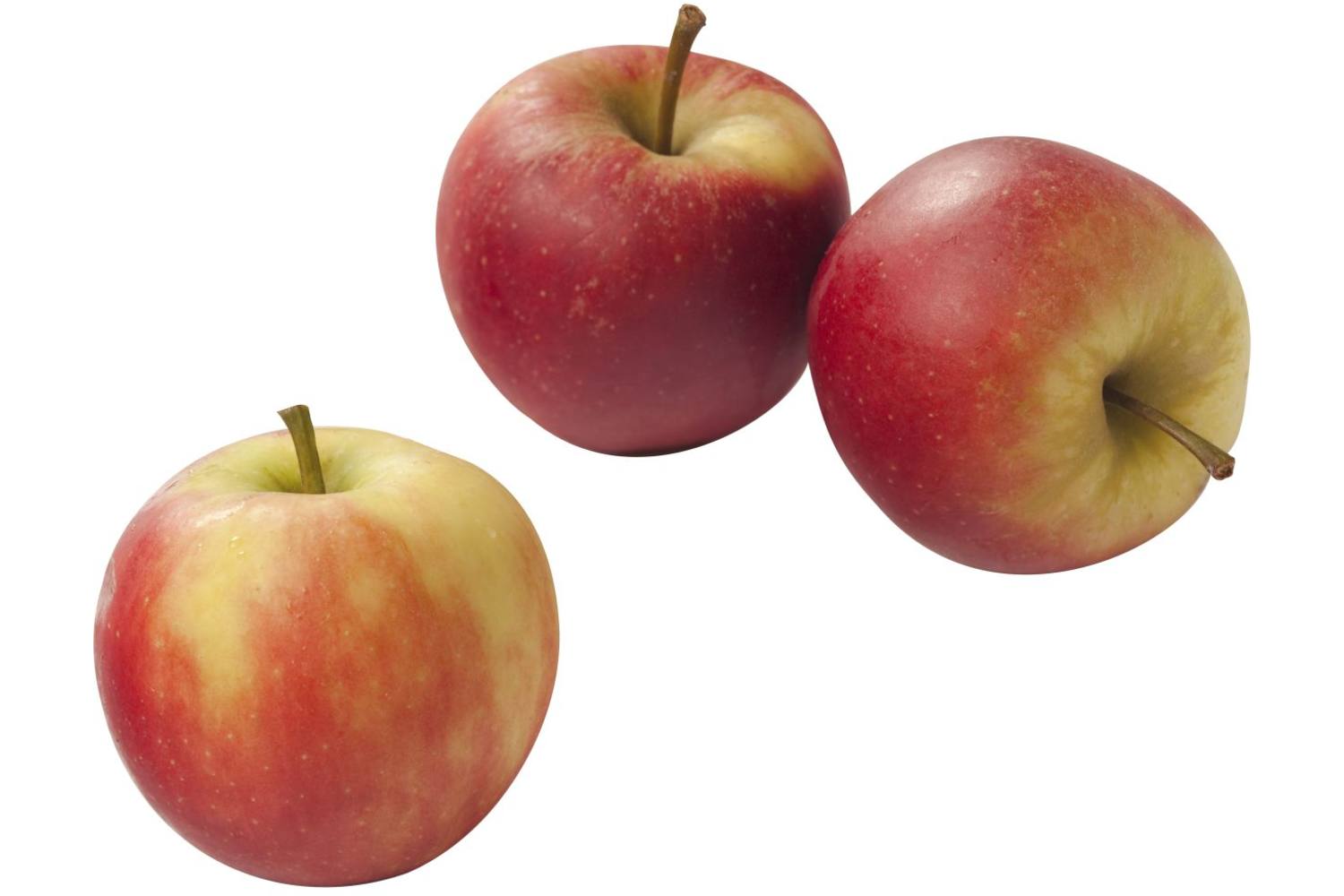 Appels voordeel kist 15 kilogram 1