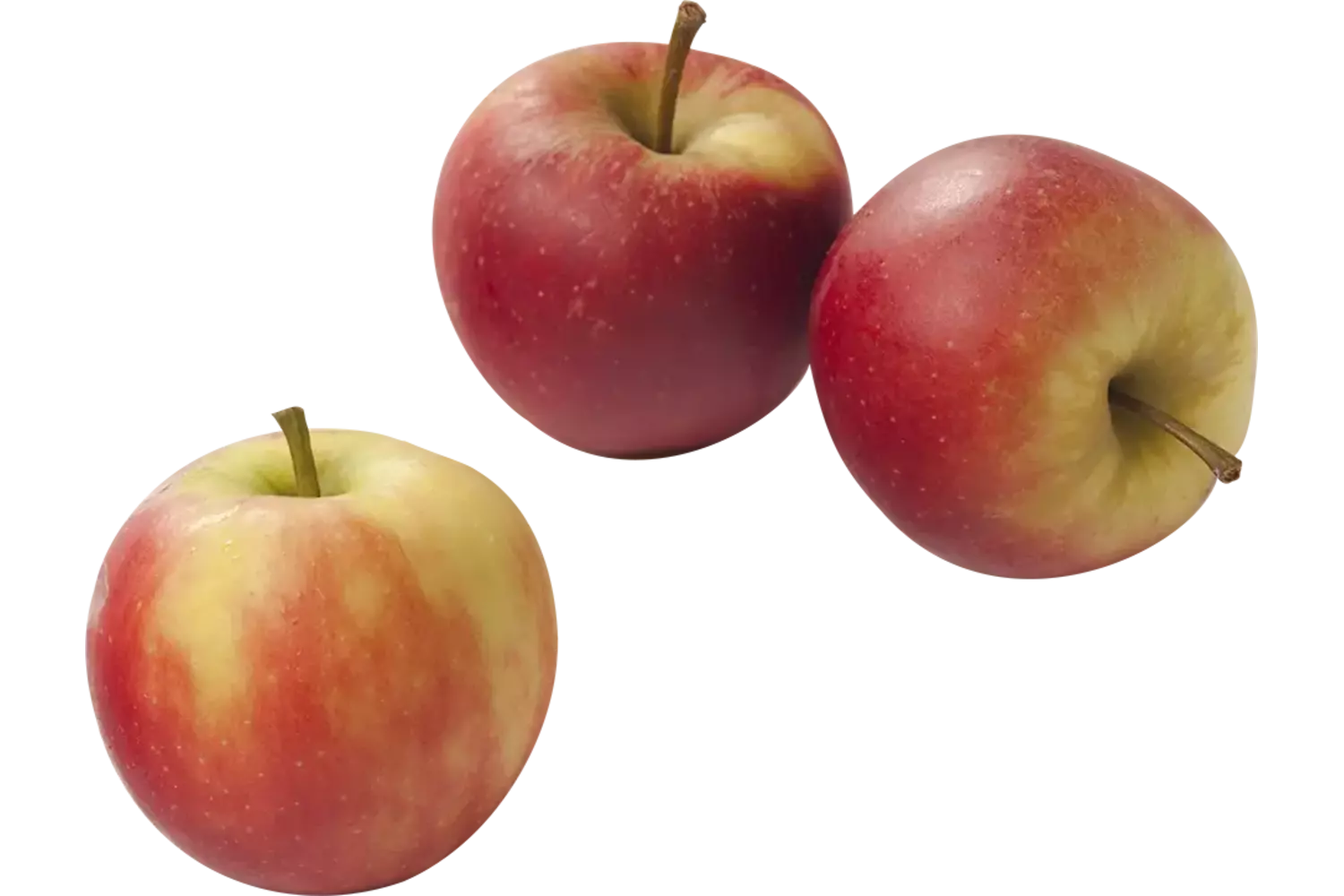 Appels voordeel kist 15 kilogram