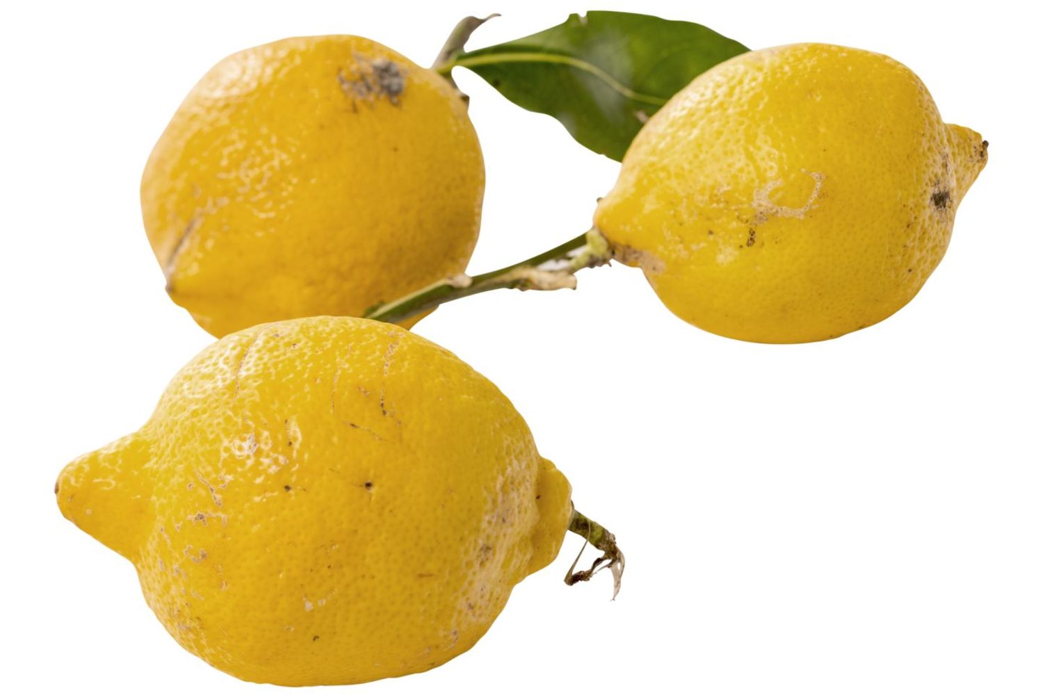 Sorrento citroenen verpakt 500gr kist 6 stuks 1