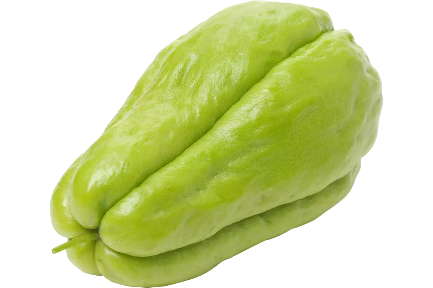 Chayote kist 25 stuks