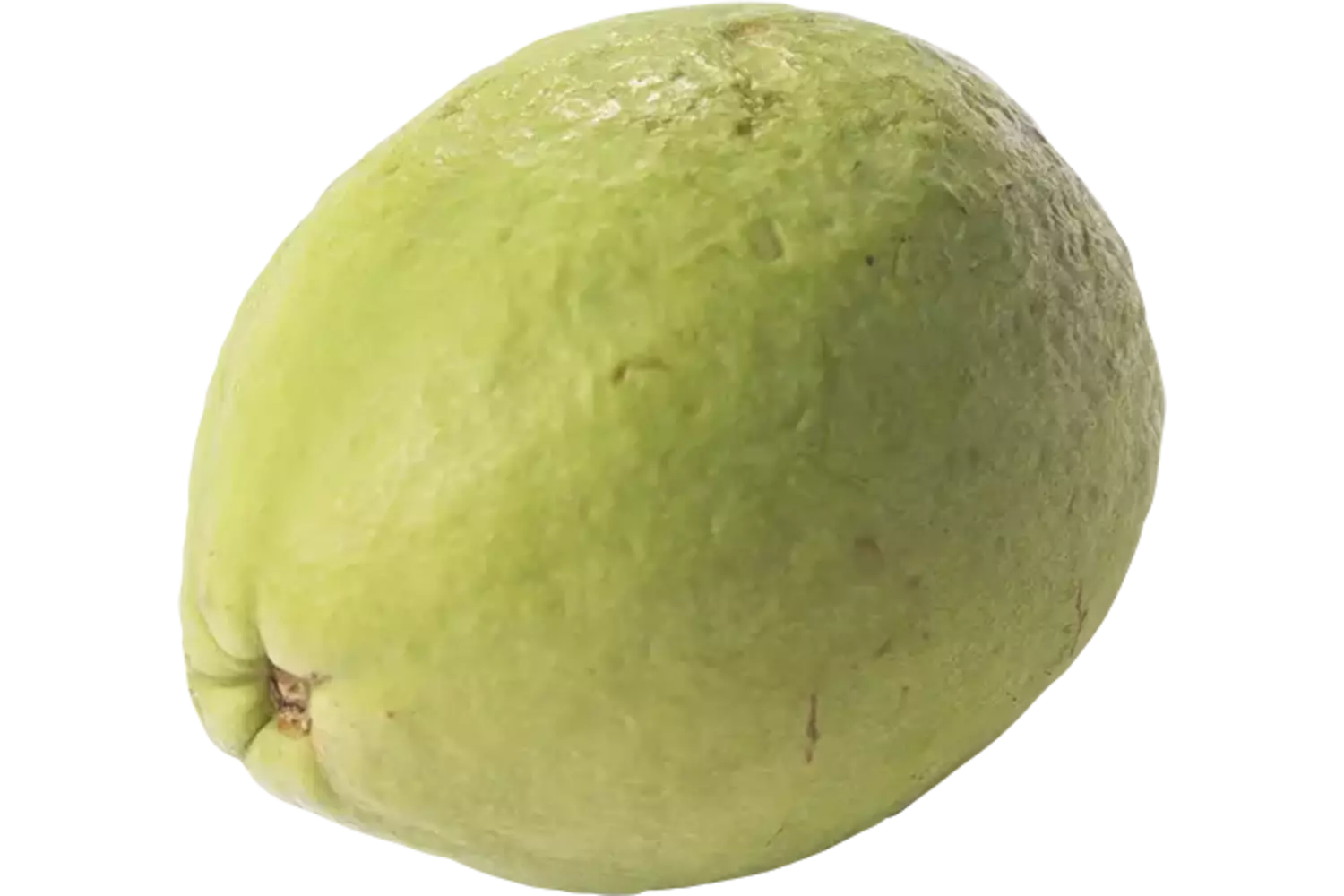 Guave doos 2kg stuk