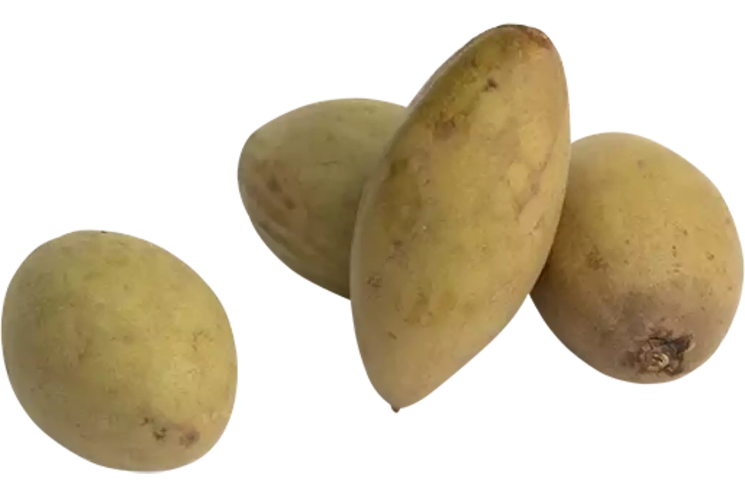 Sapodilla doos 2kg kist 2 stuks