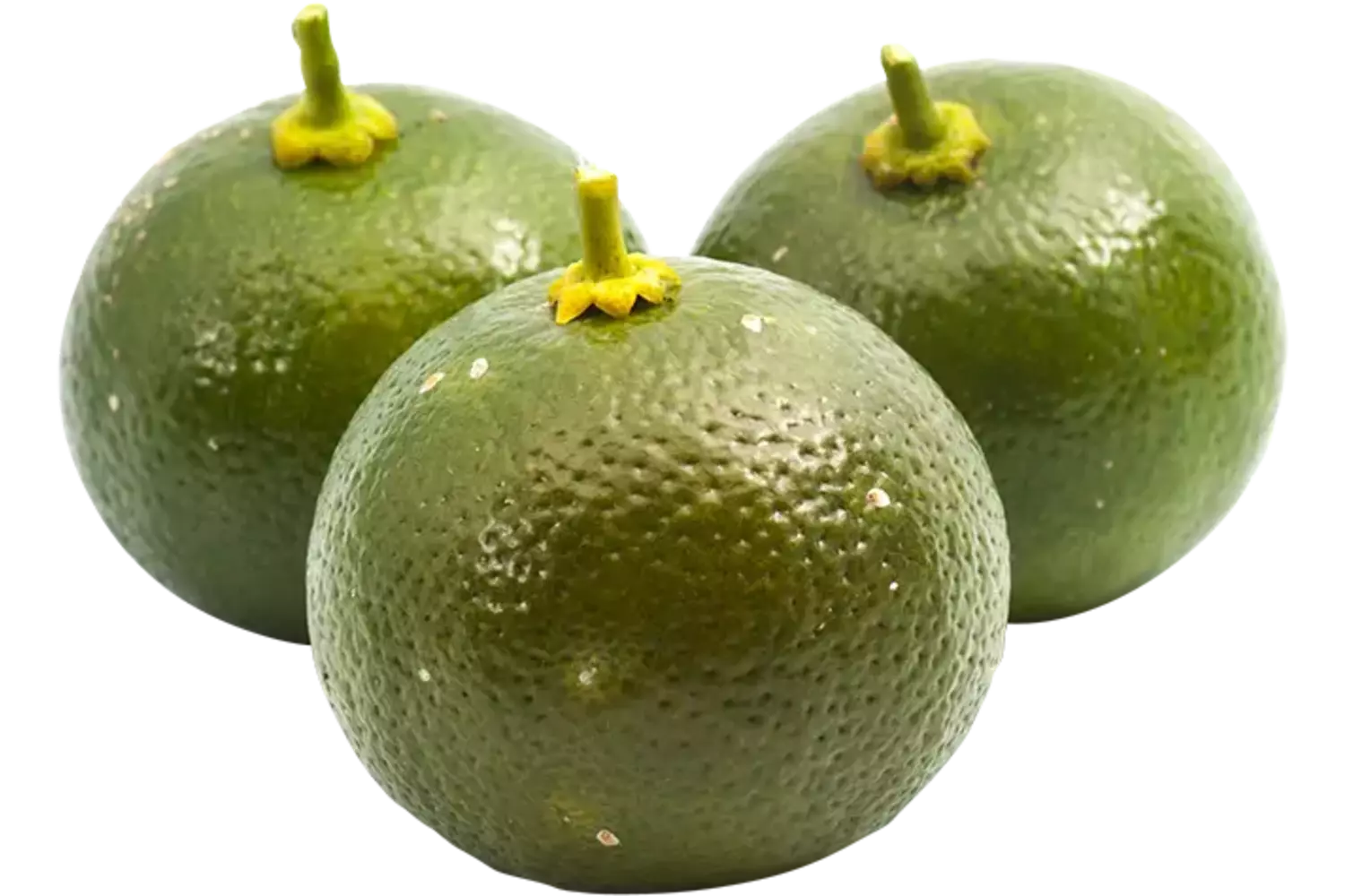 Limoen Calamansi doos 1kg stuk