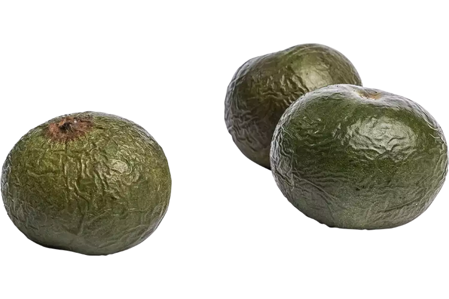 Lucuma