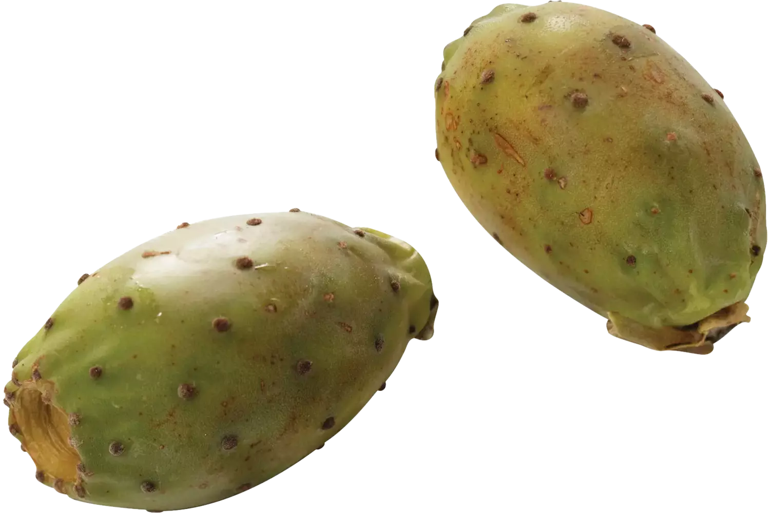 Cactus vijgen kist 18 stuks