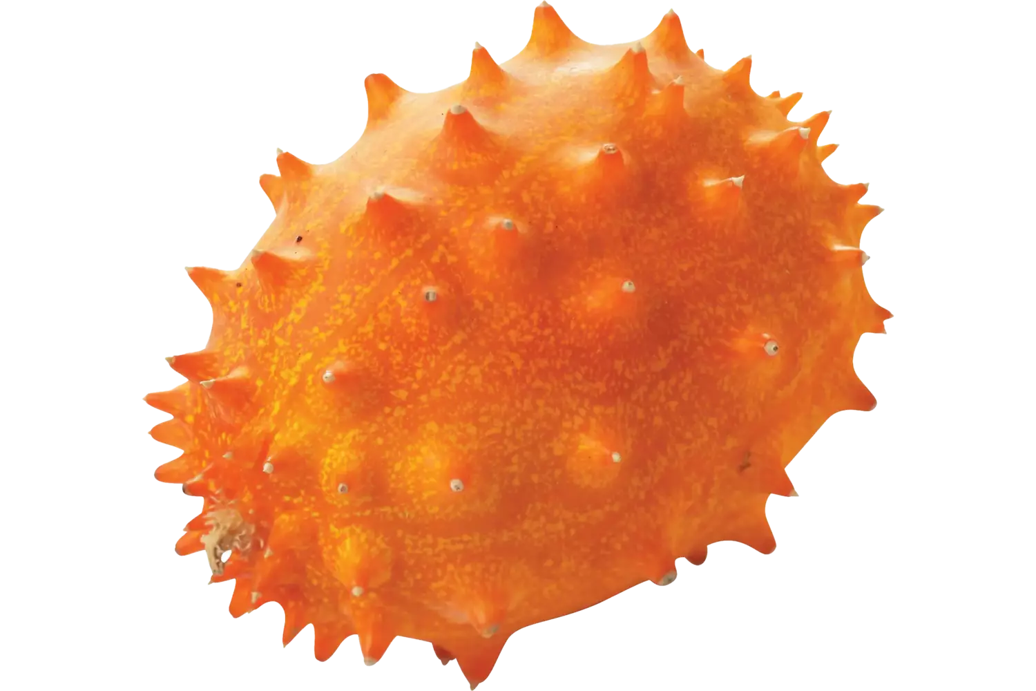 Kiwano