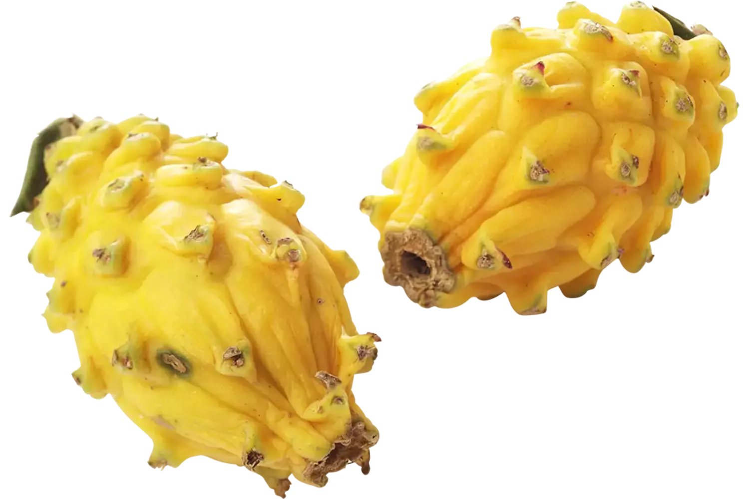 Pitahaya geel