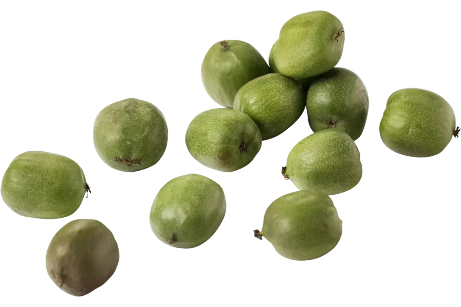 Kiwiberries 125g taille 12 pièce
