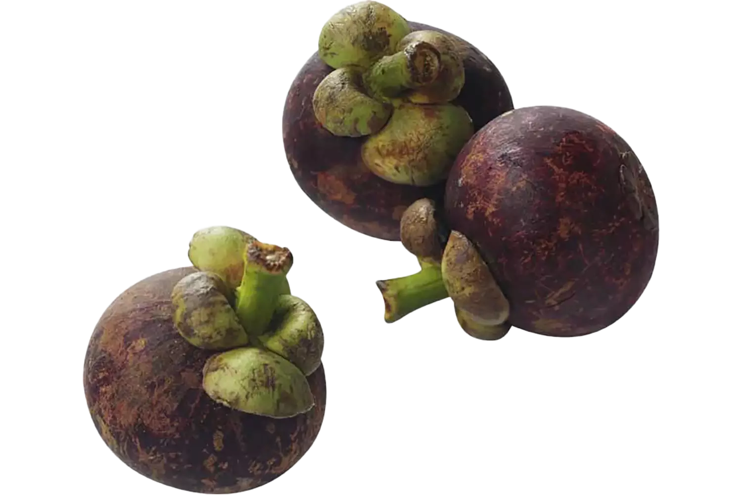 Mangistan verpakt 250gr kist 6 stuks