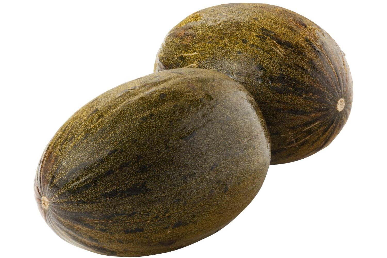 Melon piel de sapo taille 6 pièce 1