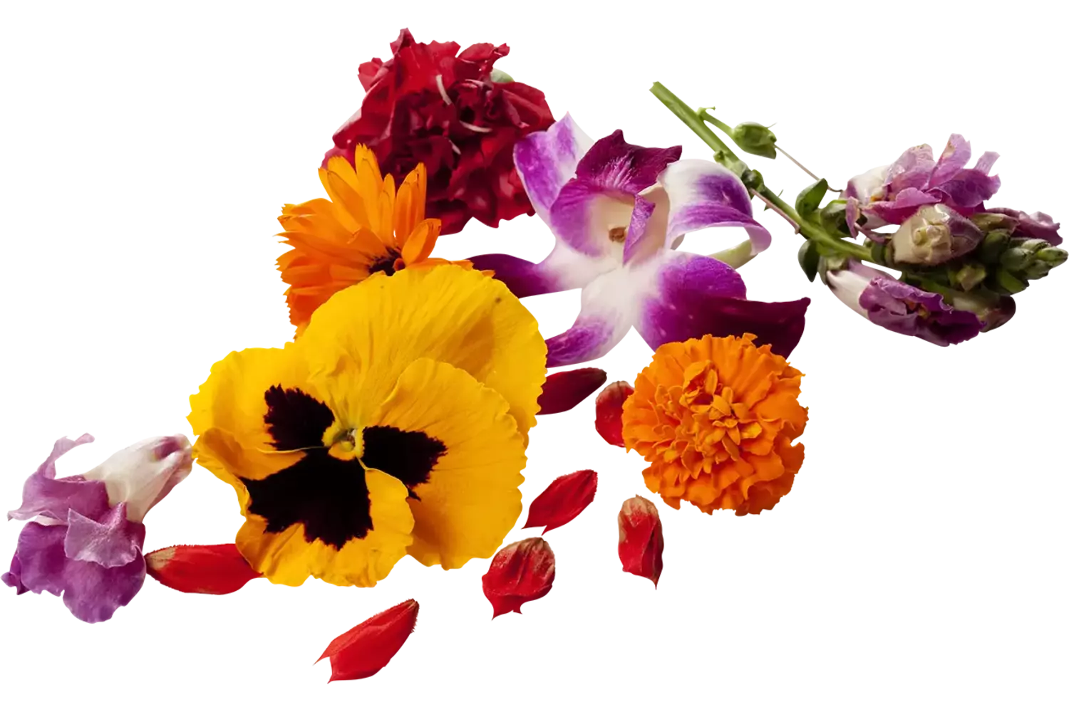 Edible flowers mixed piece