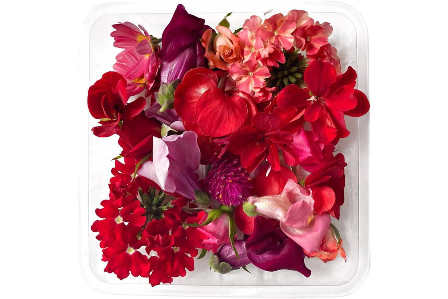 Eetbare bloem Valentijn mix 20-25st kist 8 stuks