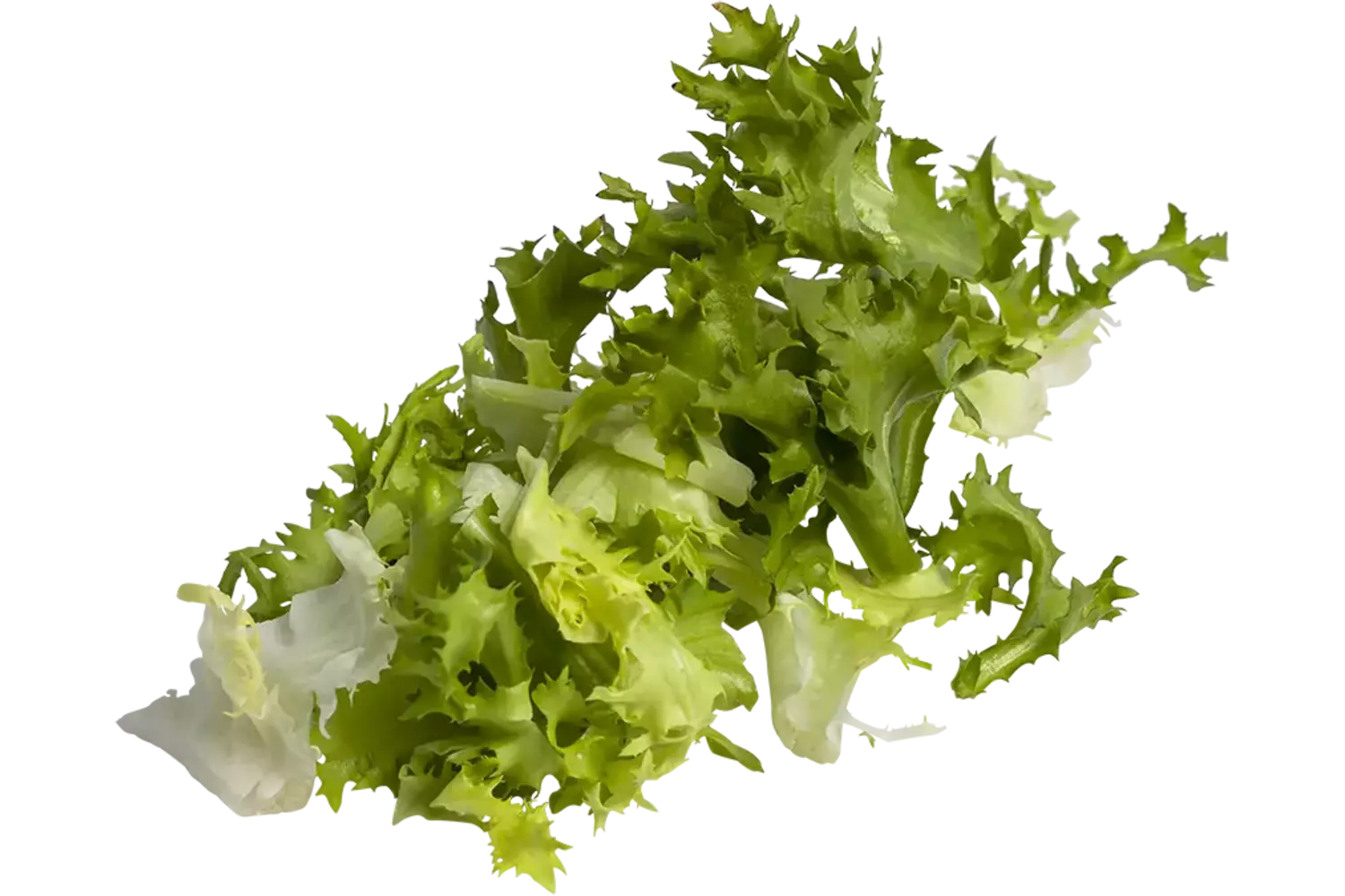 Frisee sla 8mm grof zak 1kg stuk