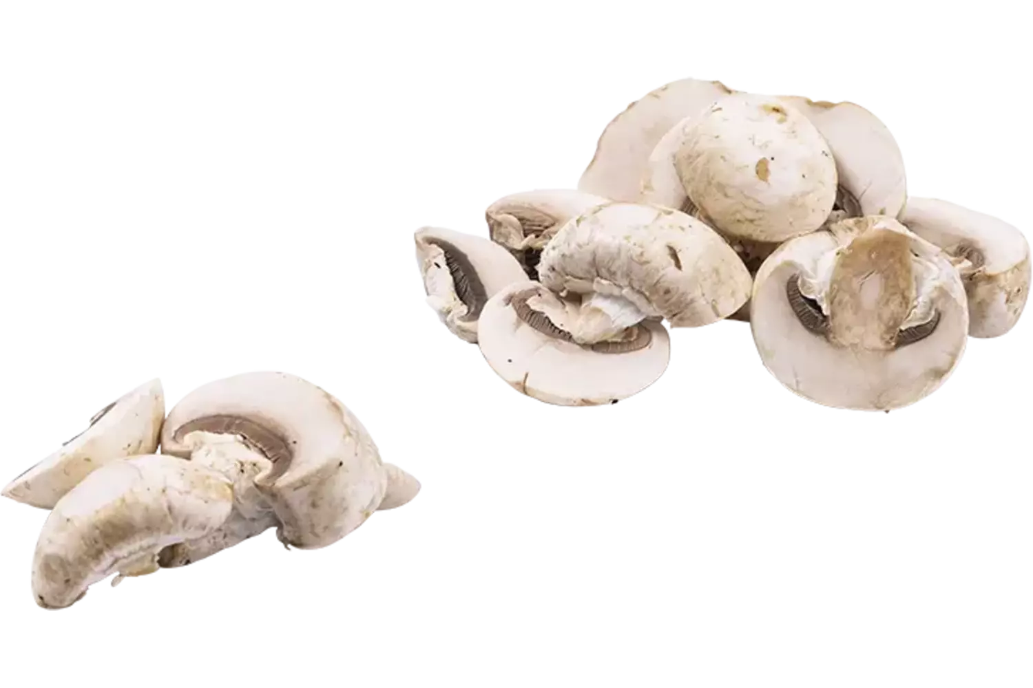 Champignons schijven grof 1kg (10-12mm) kist 4 stuks