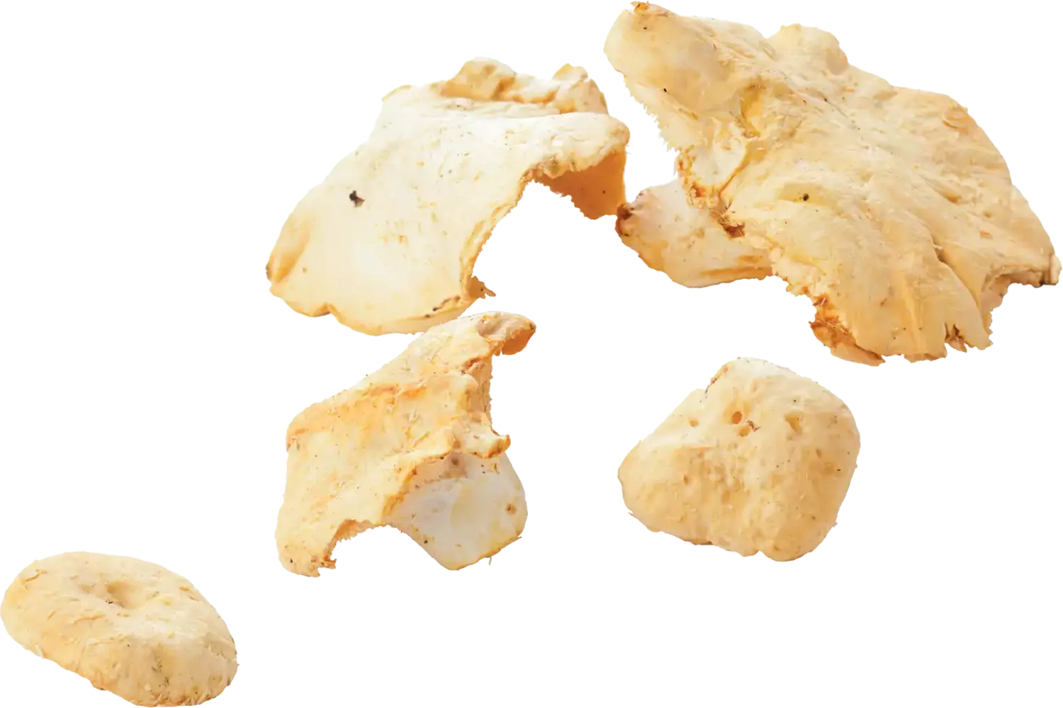 Pied de mouton doos 1kg stuk