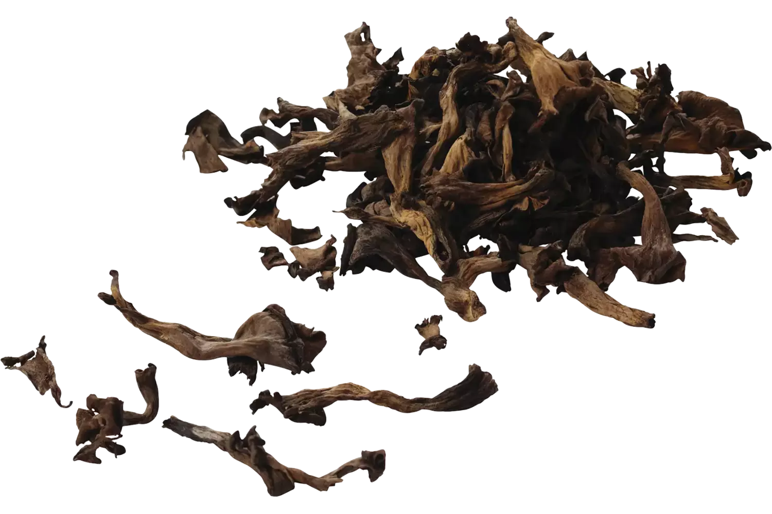 Trompet de la mort 1kg pièce