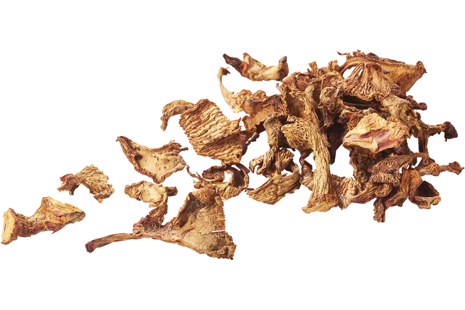 Girolles gedroogd pot 500gr stuk