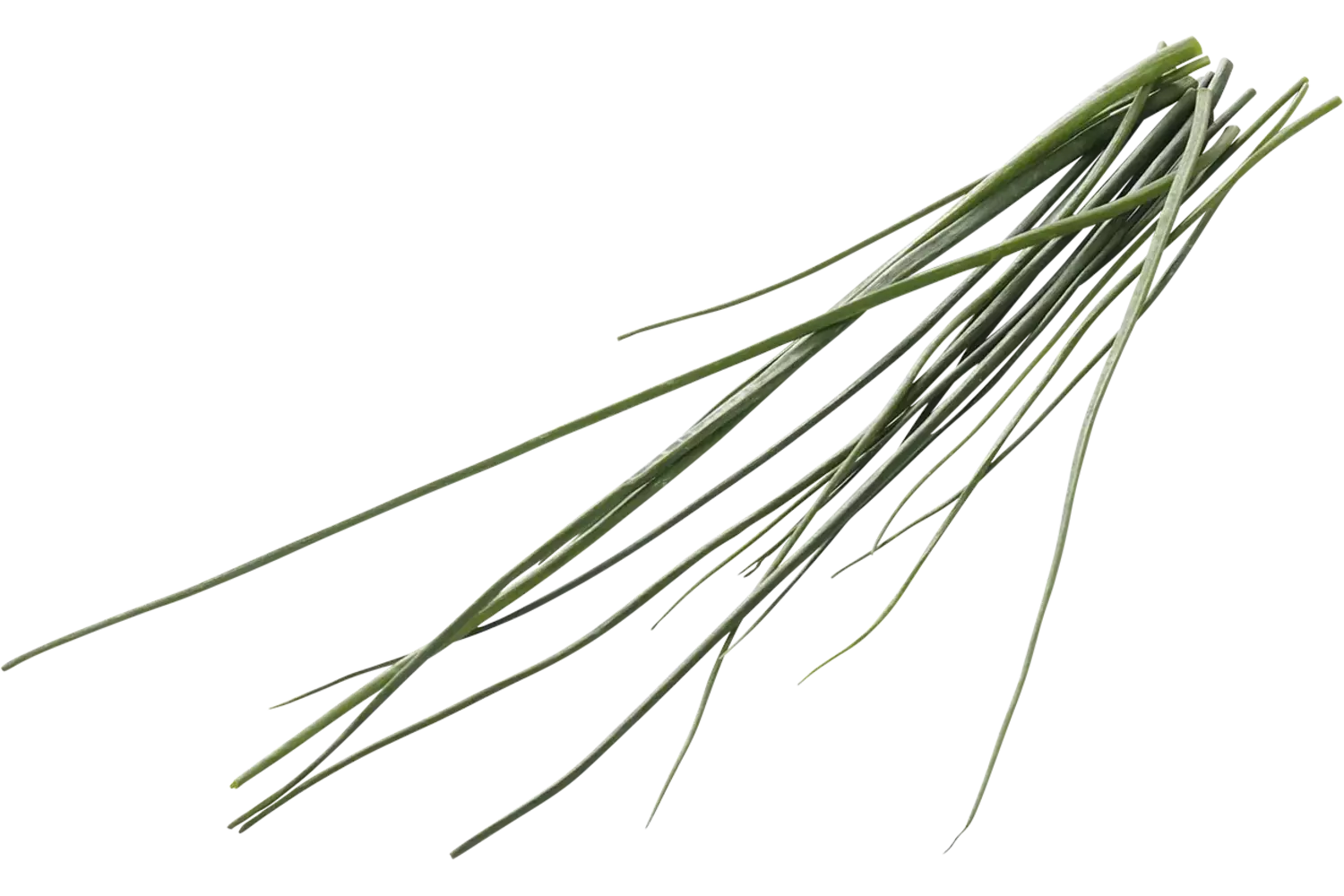 Chives crade 1 kilo