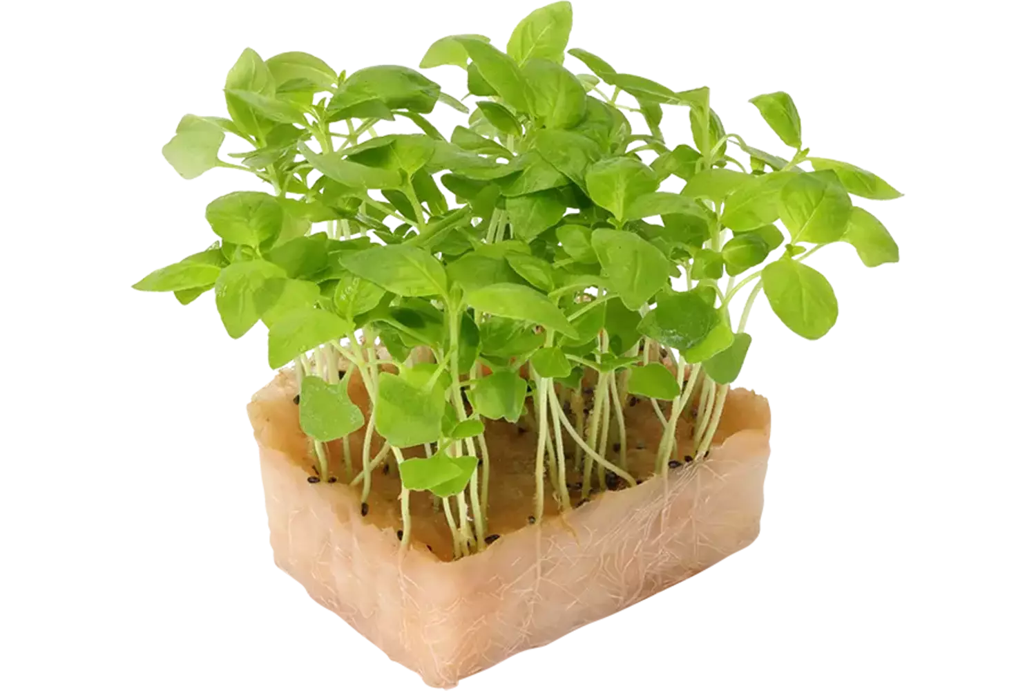 Limon Cress Duo TOPSEAL stuk