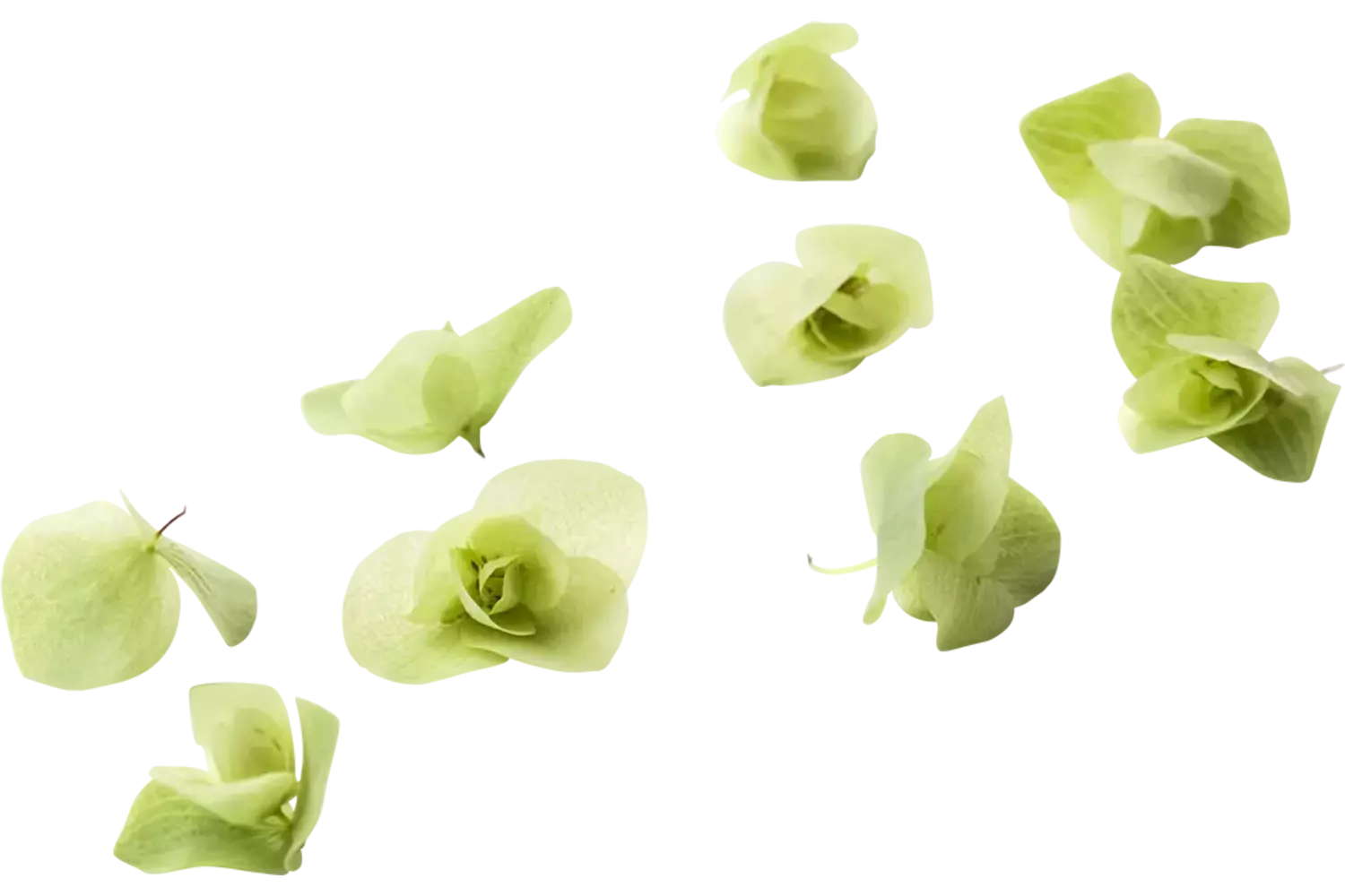 Florigan pièce