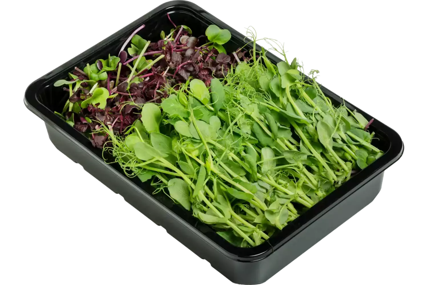 Micro leaves salad mix 30gr. kist 12 stuks
