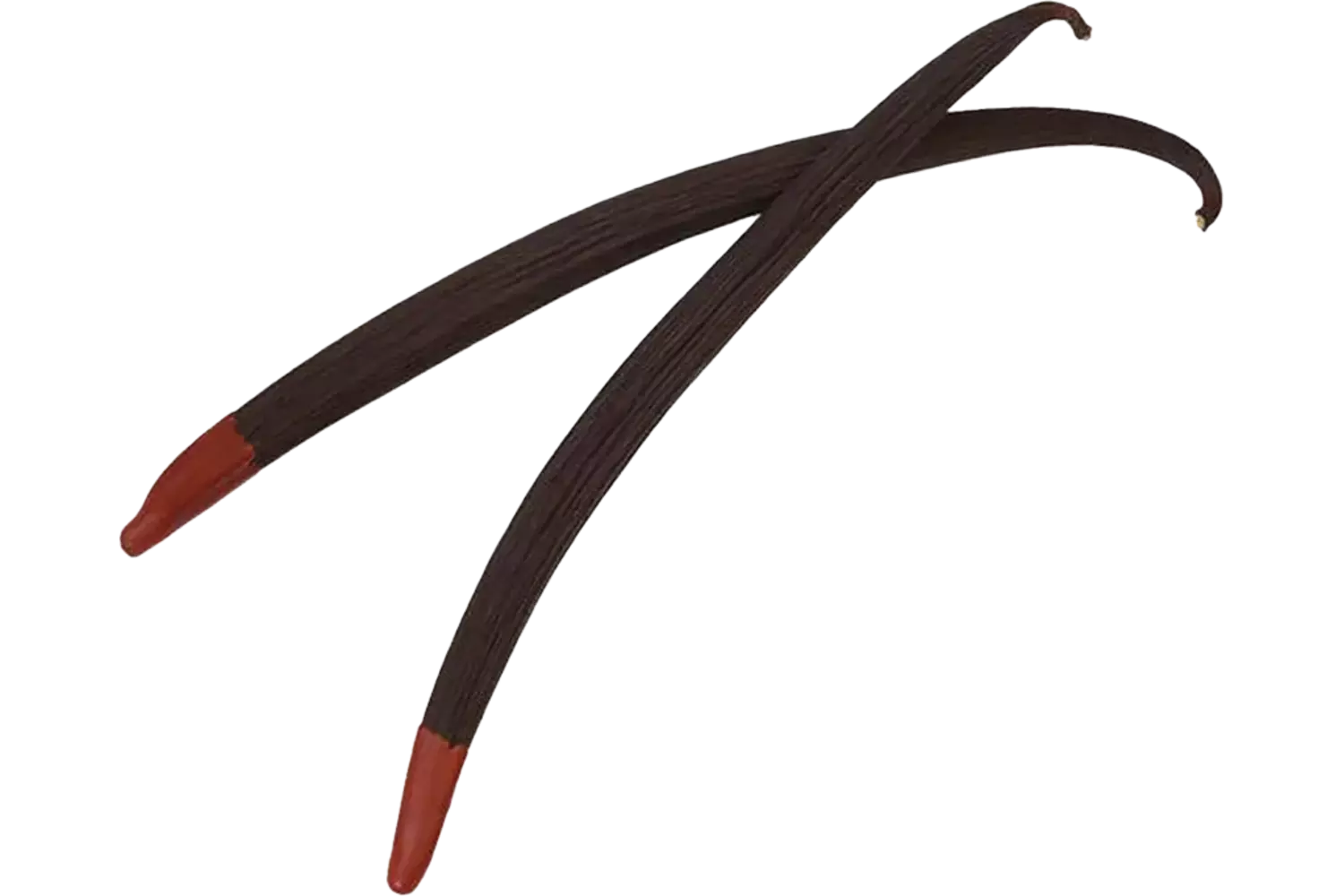 Vanillepeulen planifolia rood blik 6st stuk