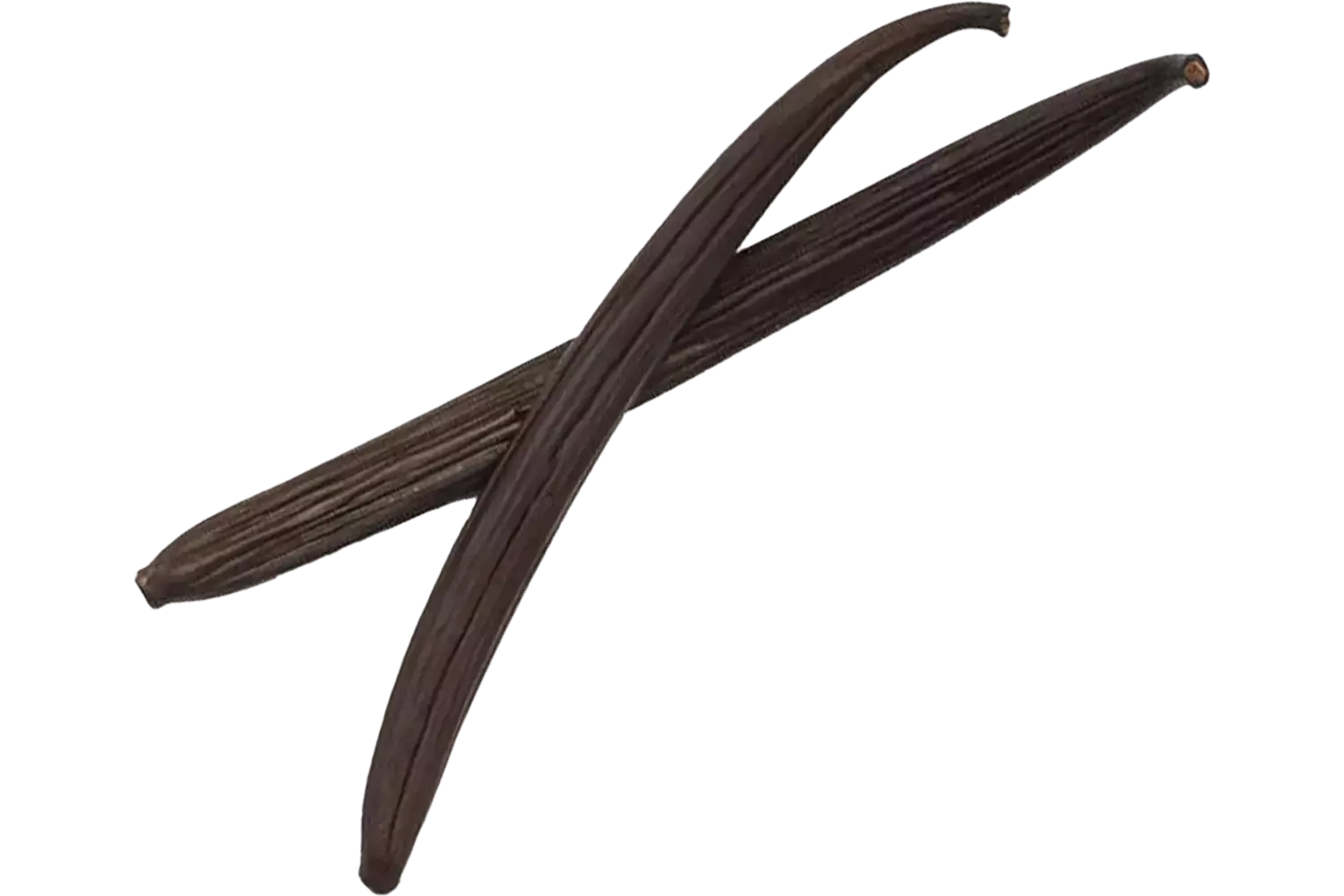 Vanillepeulen planifolia zwart blik 6st stuk