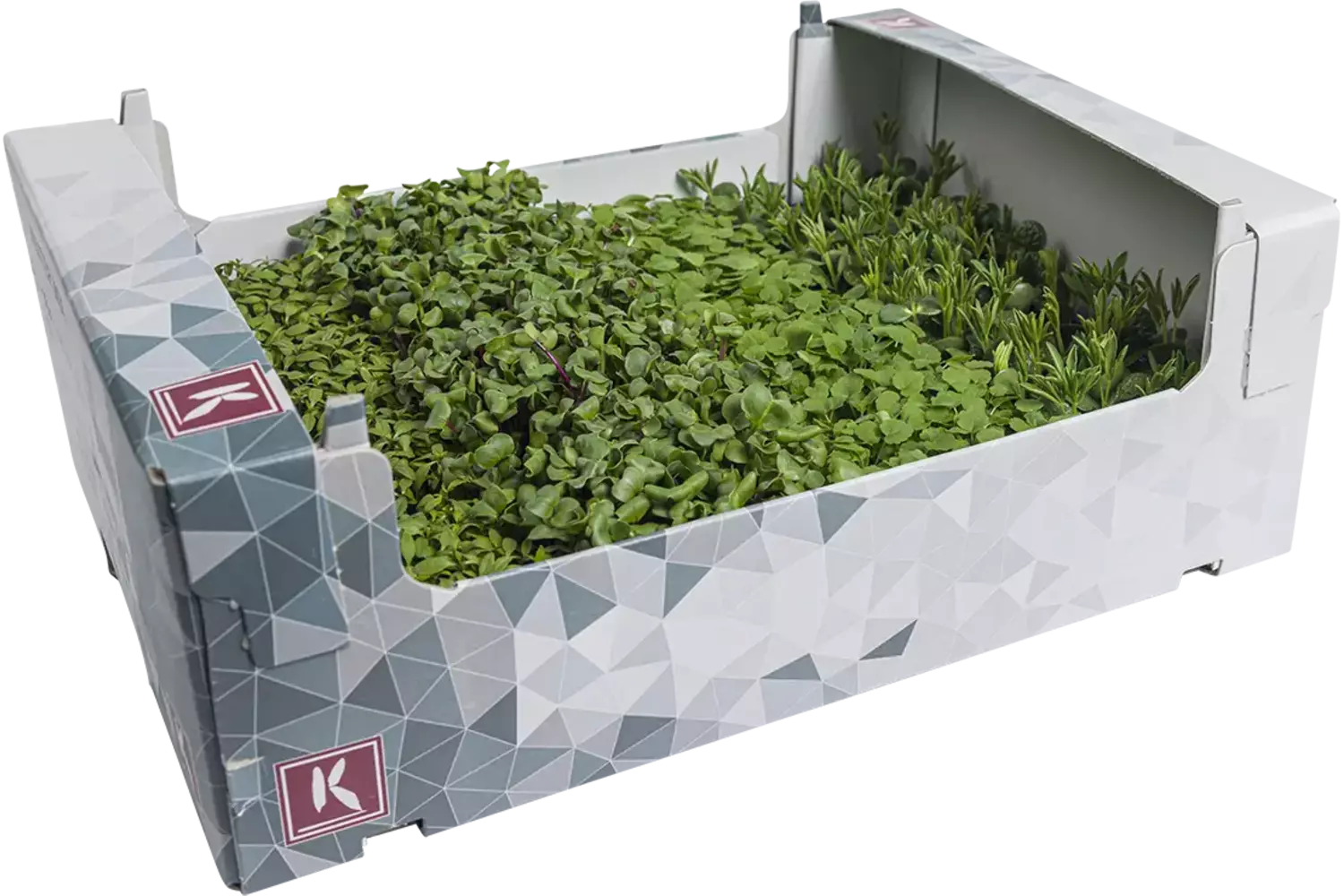 Winter mix kist 16 stuks