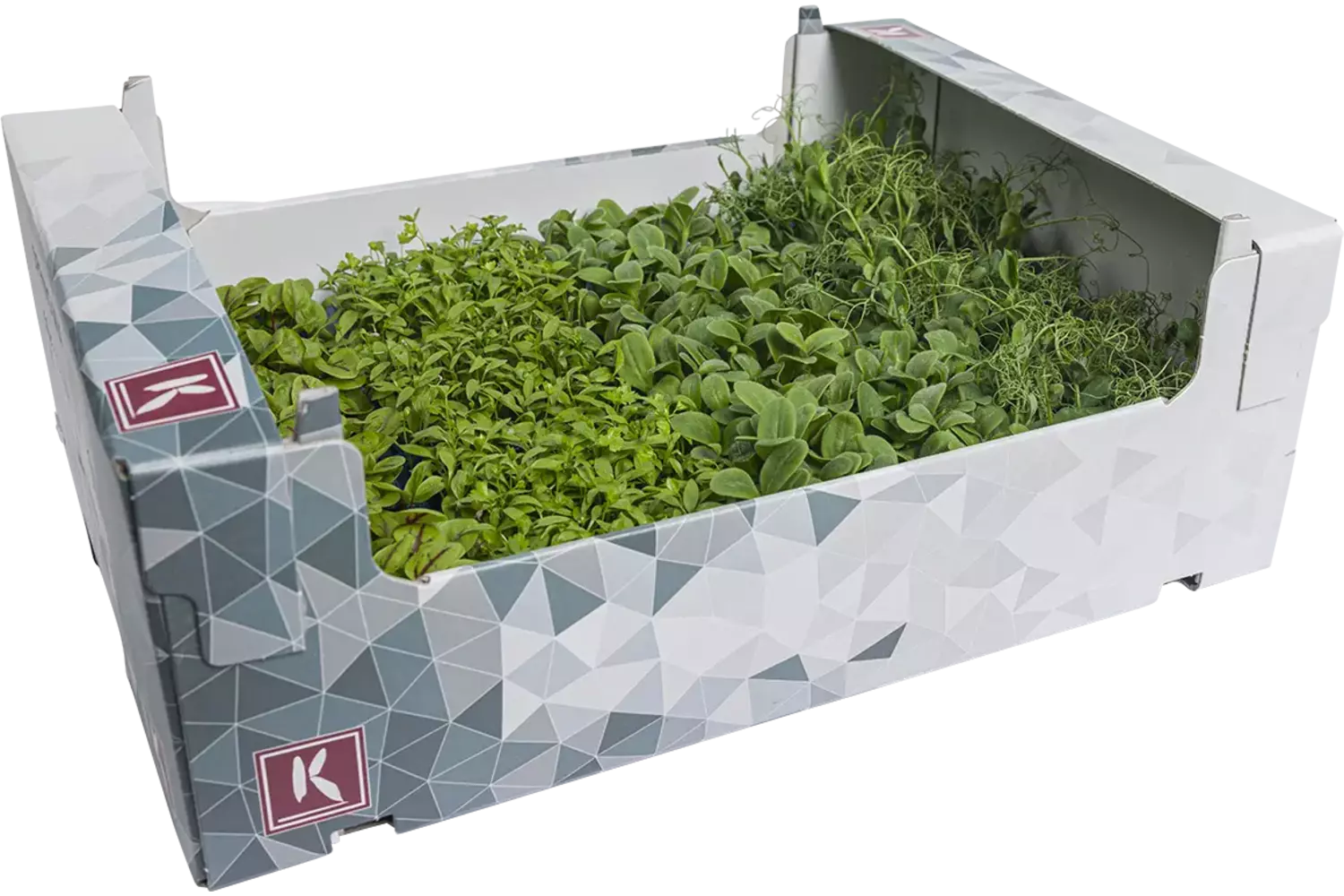 Spring mix kist 16 stuks