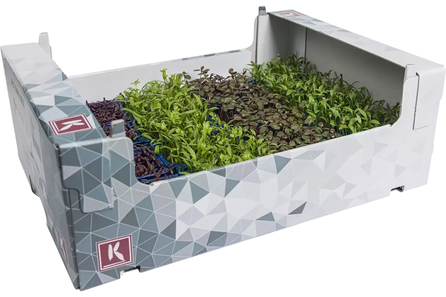 Autumn mix kist 16 stuks