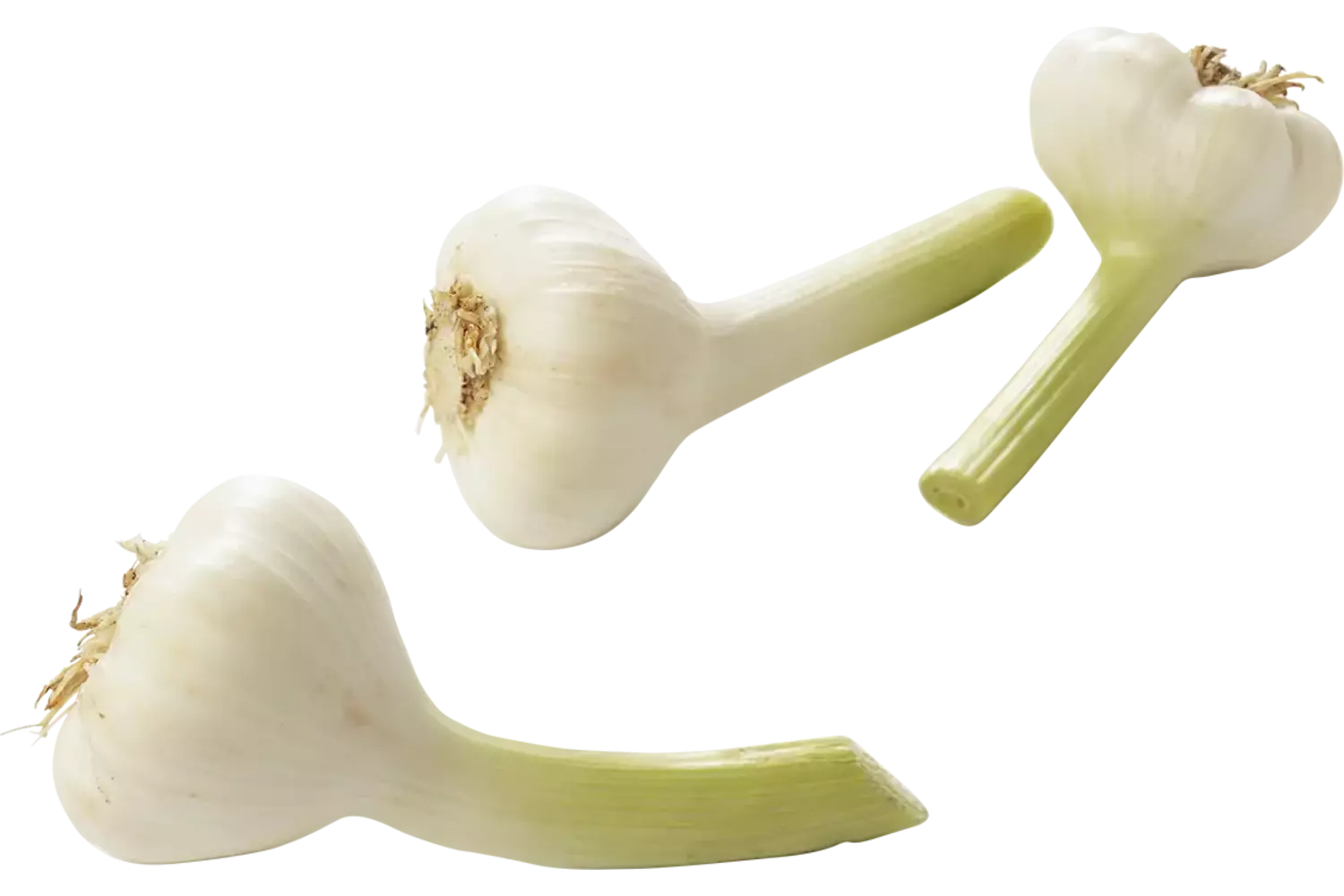 Knoflook nat (vers) verpakt 1kg