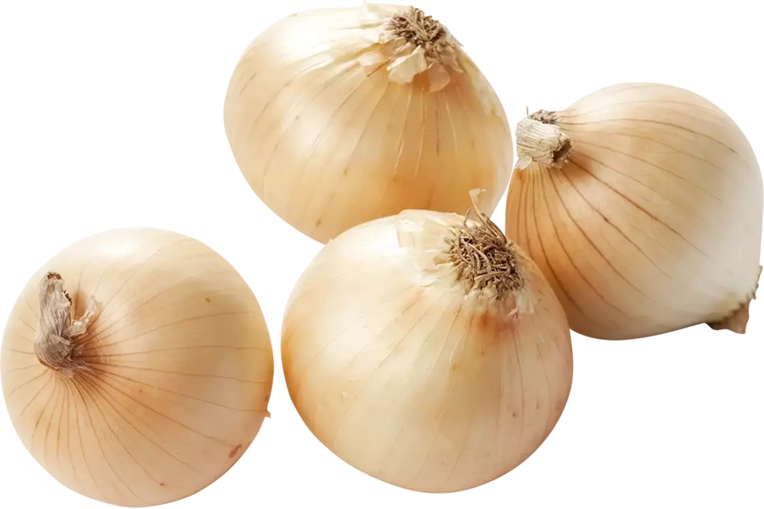 Zoete uien verpakt 1kg