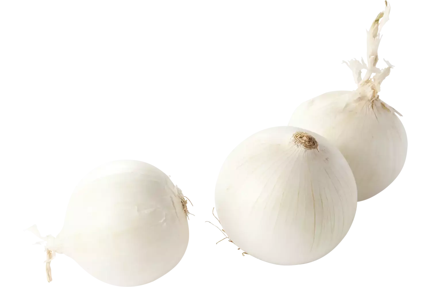 Witte uien verpakt 1kg kist 6 stuks