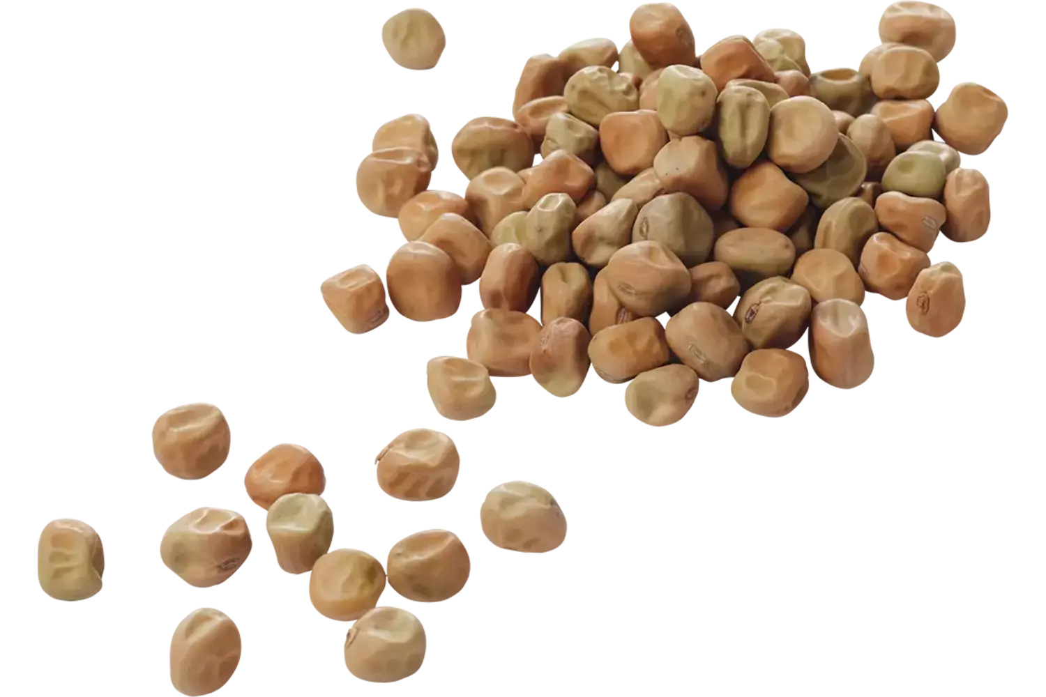 Capucins 500g caisse 15pc