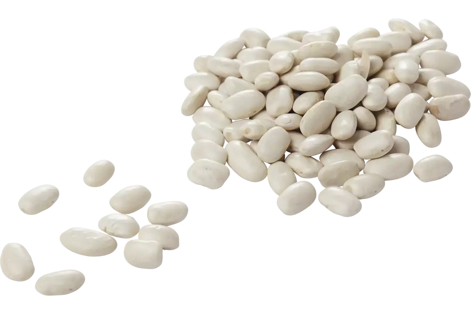 Witte bonen 500gr stuk