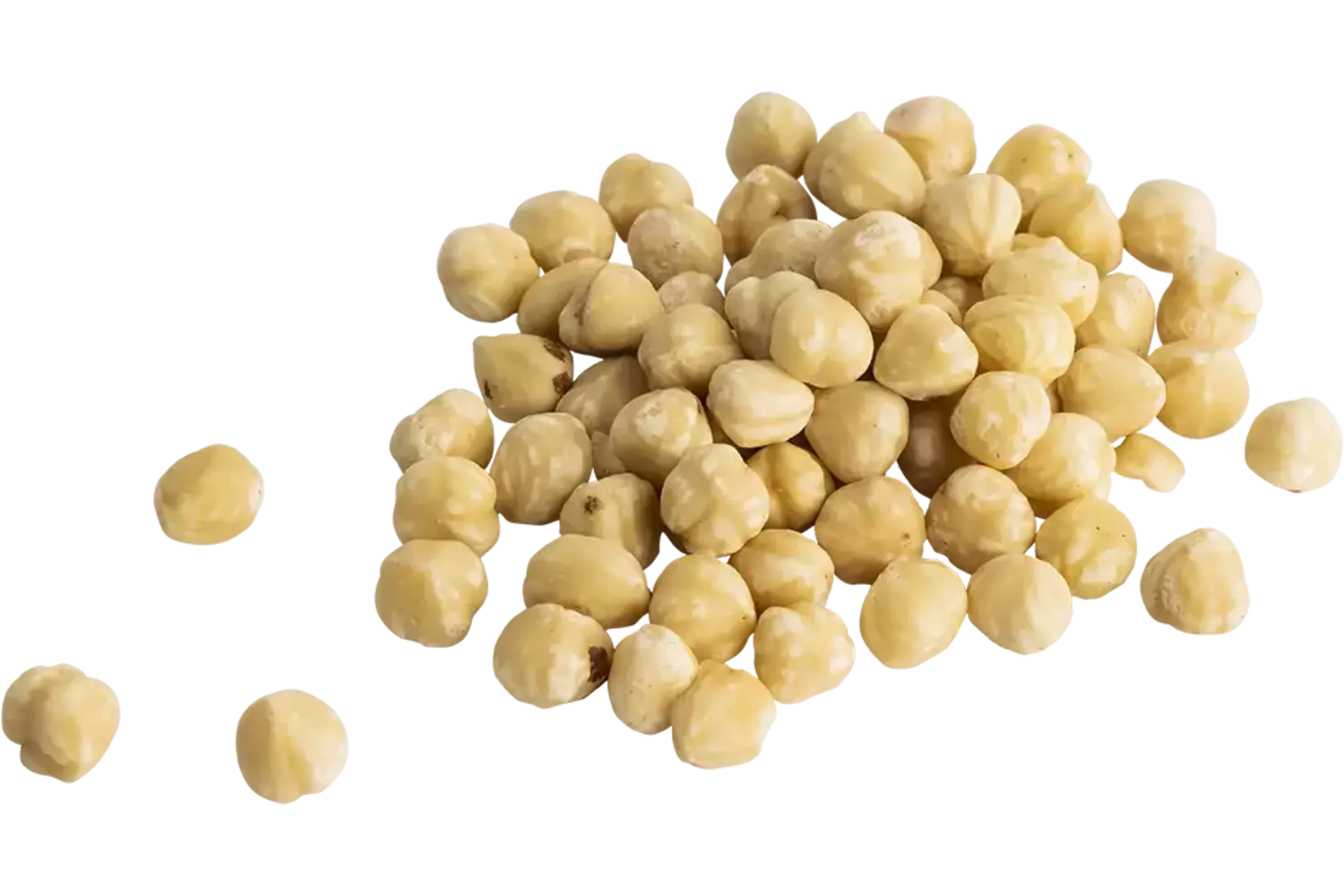 Hazelnoten wit raw 1kg stuk