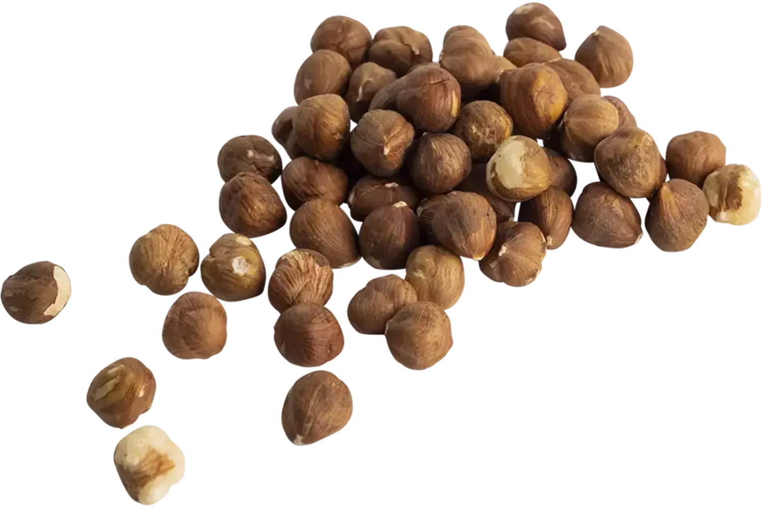 Hazelnoten bruin raw 1kg stuk