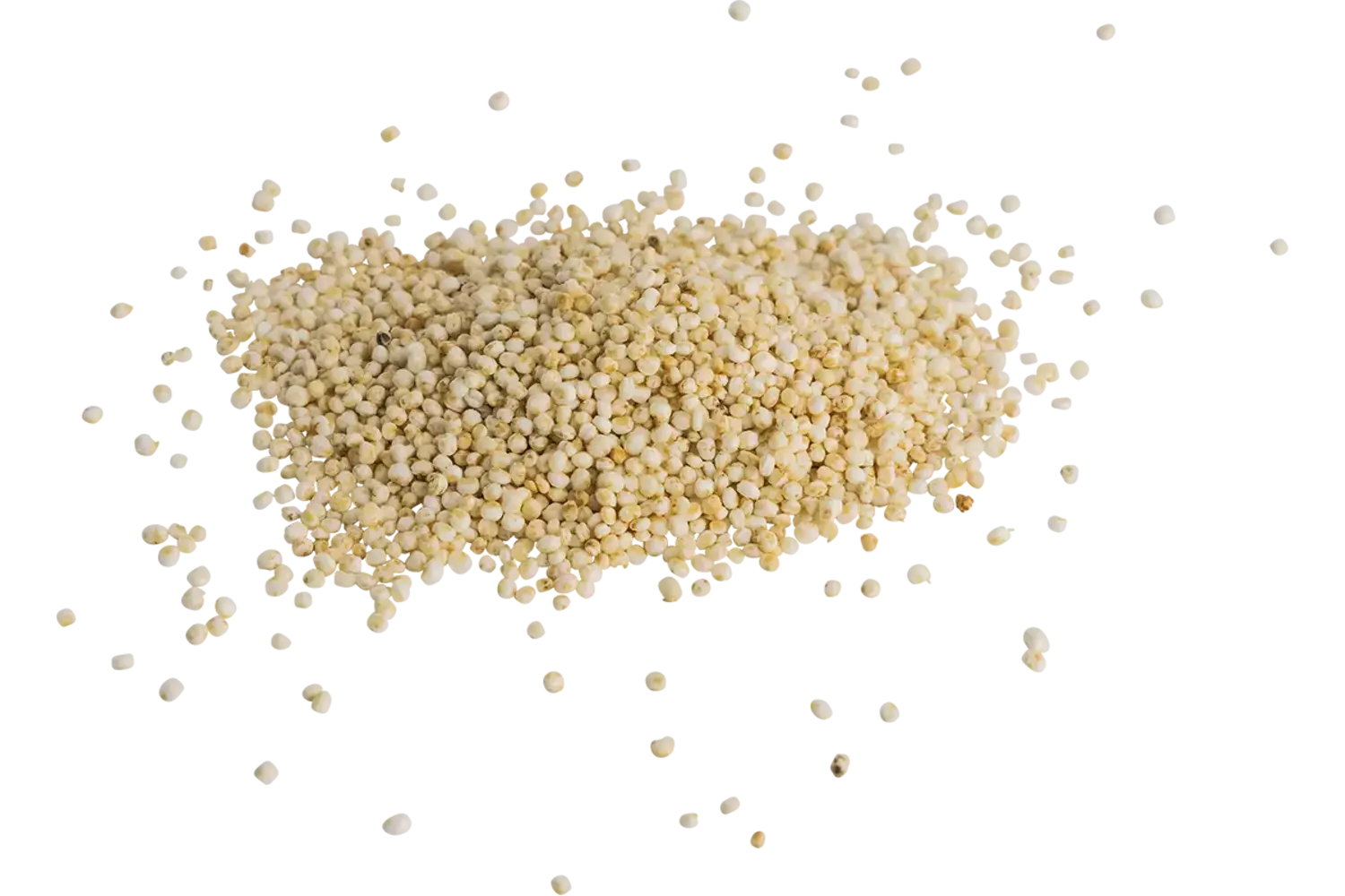 Quinoa gepoft 200gr stuk