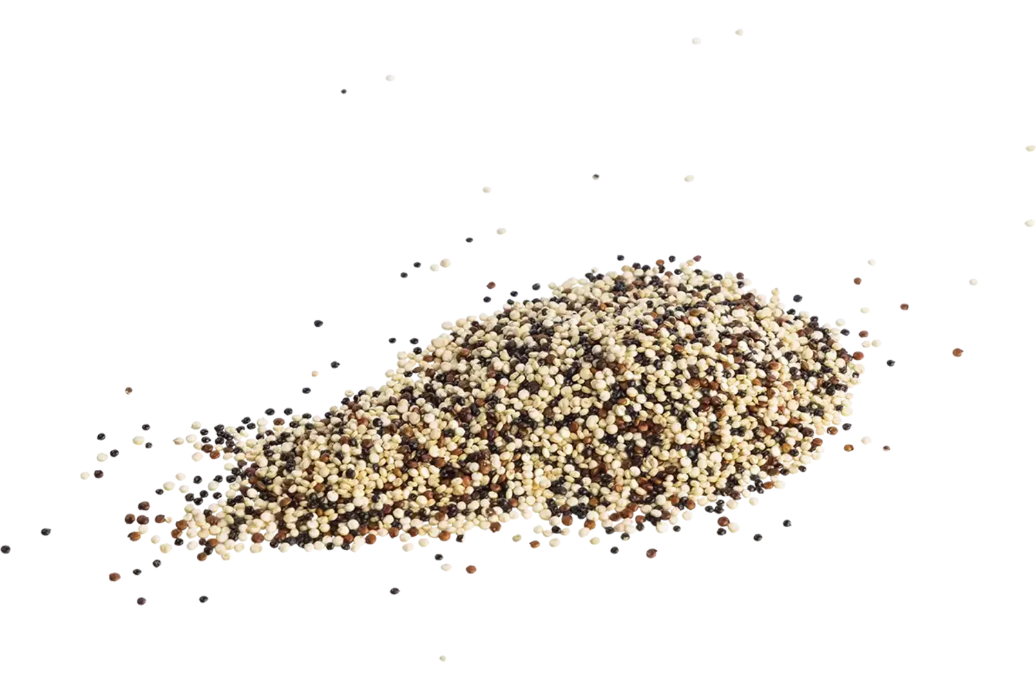 Quinoa tricolor 500gr stuk