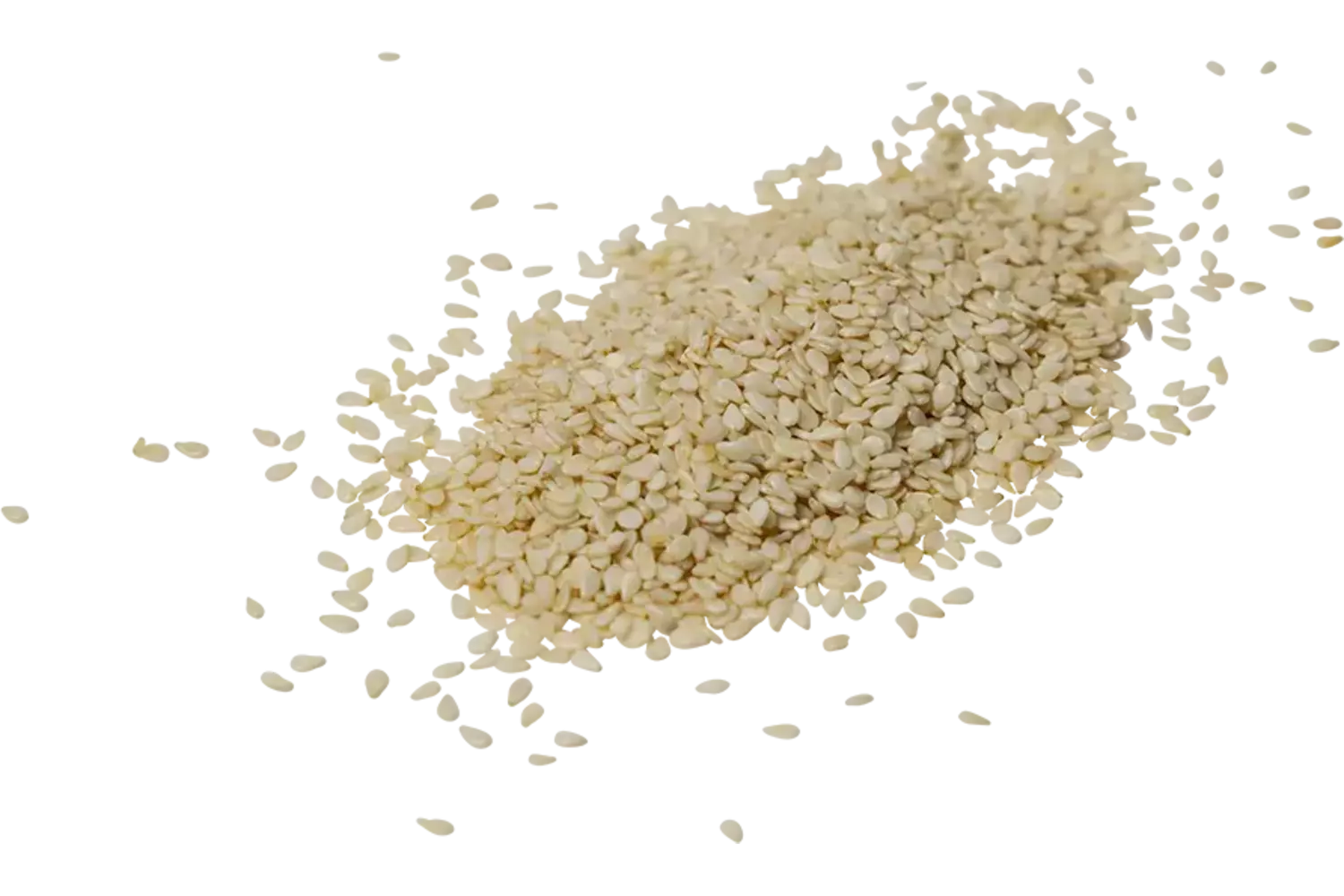 Sesamzaad wit 1kg stuk