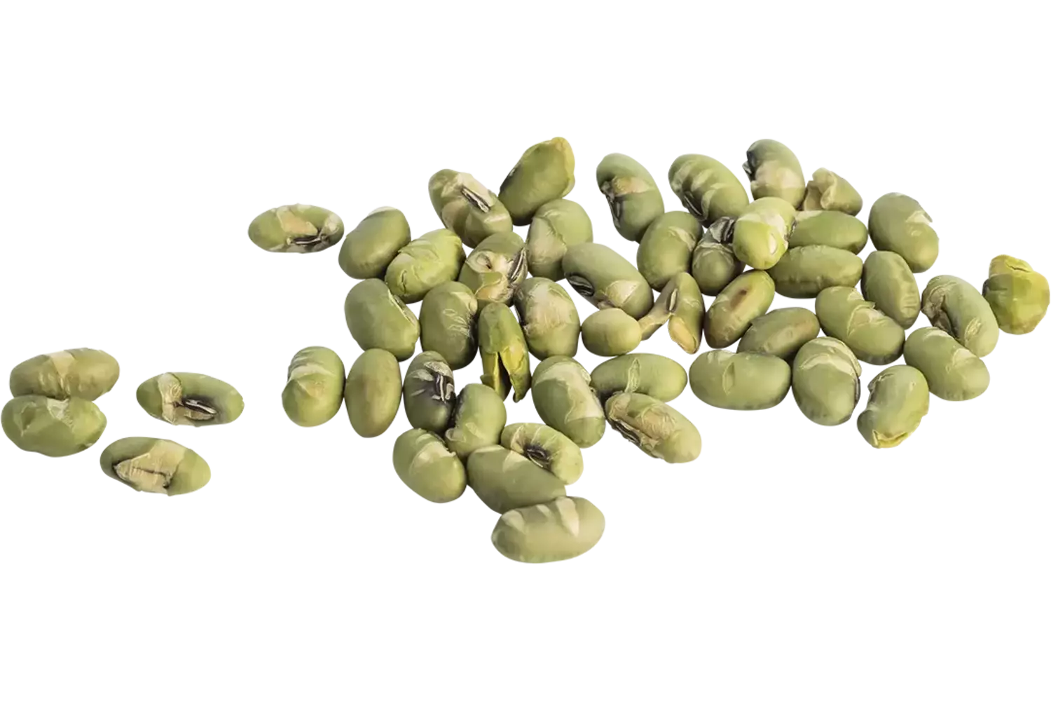 Edamame bonen geroosterd 700gr stuk