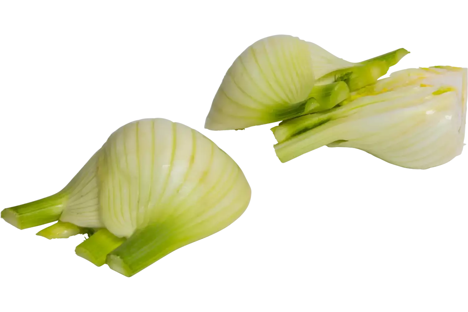 Venkel gehalveerd bak 1kg stuk