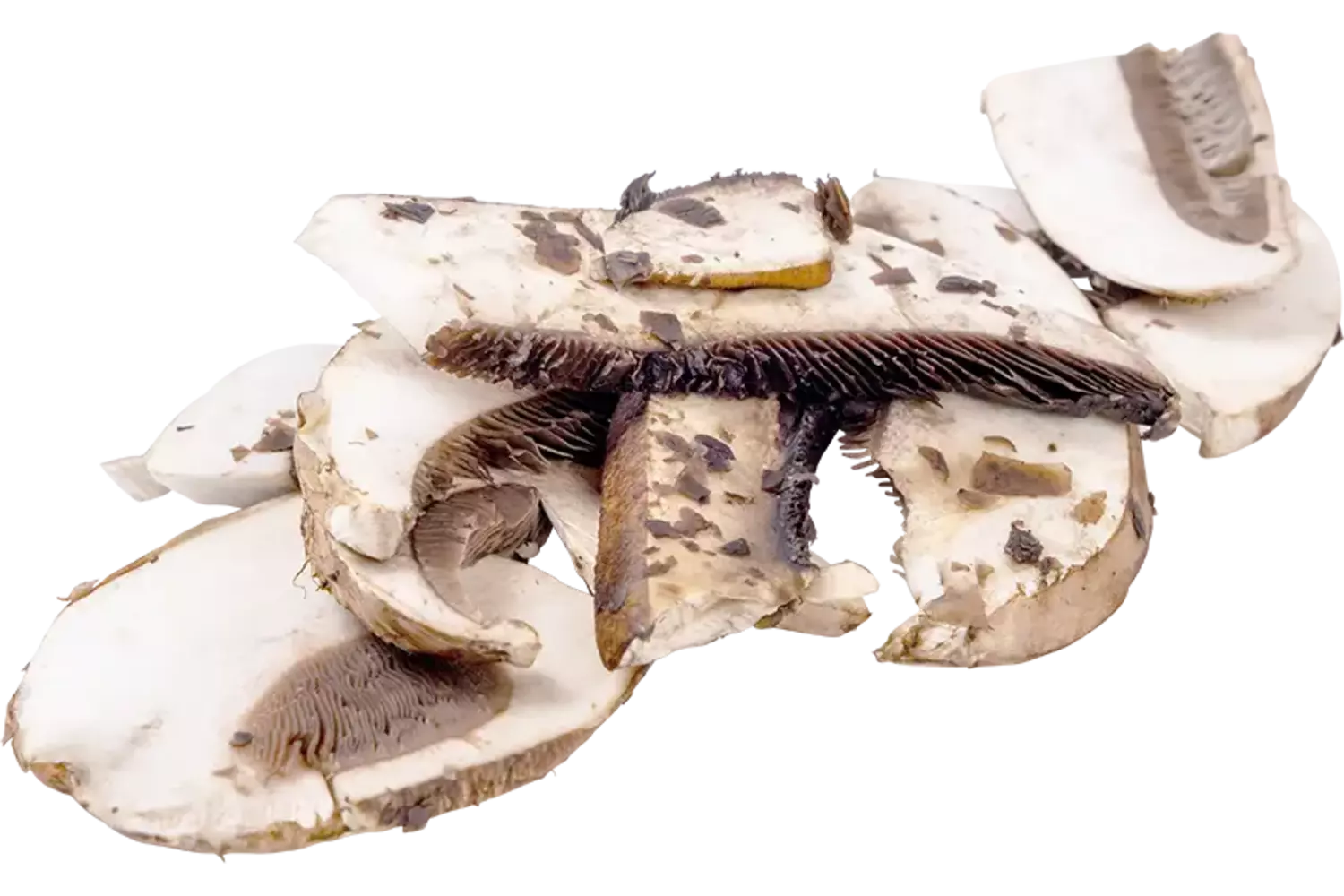 Portobello 8mm bak 1kg stuk